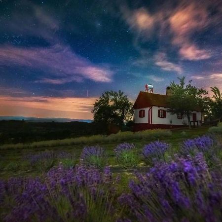 Lavanda Carasova Crasova المظهر الخارجي الصورة