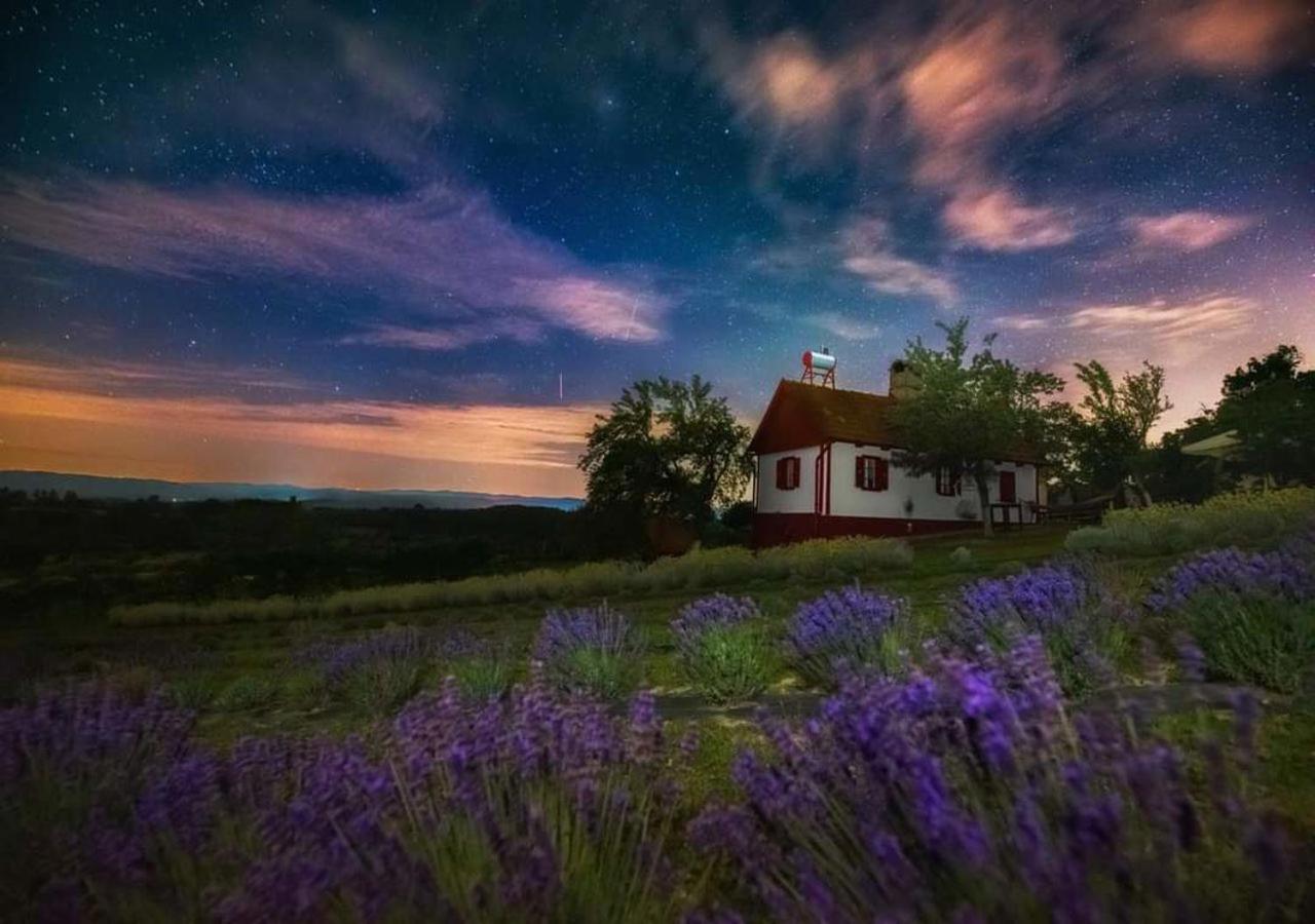 Lavanda Carasova Crasova المظهر الخارجي الصورة