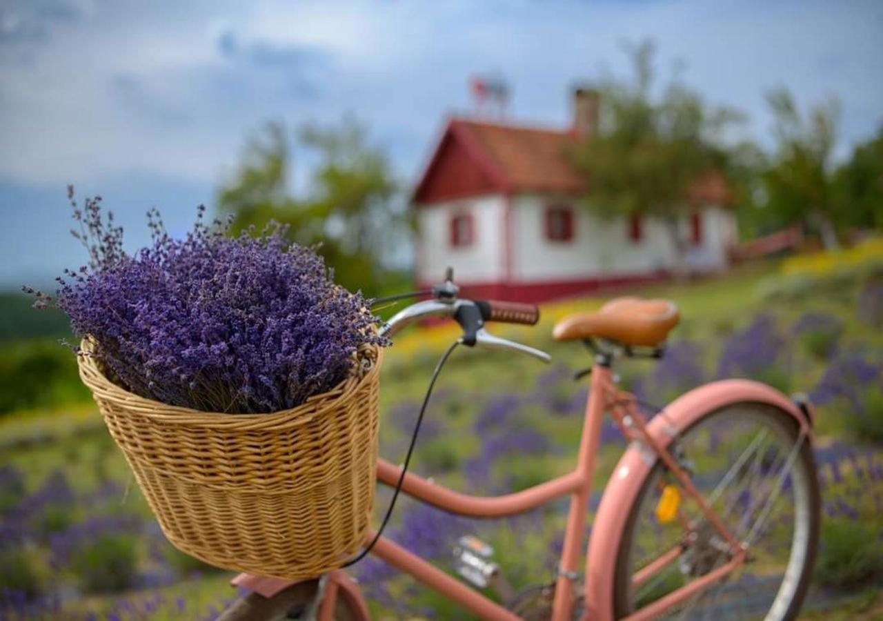 Lavanda Carasova Crasova المظهر الخارجي الصورة